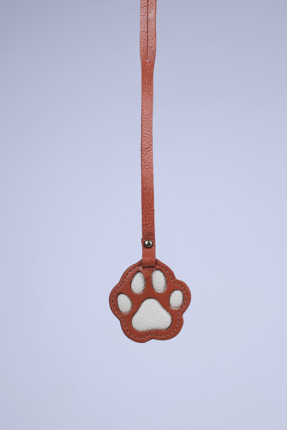 The Paw Charm